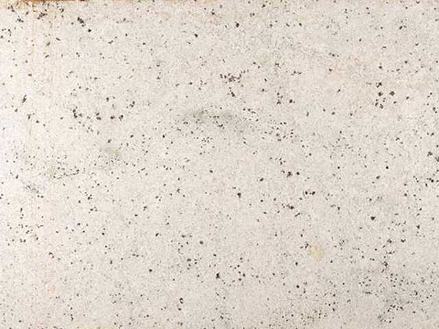 Colonial White - Granite Slab Image