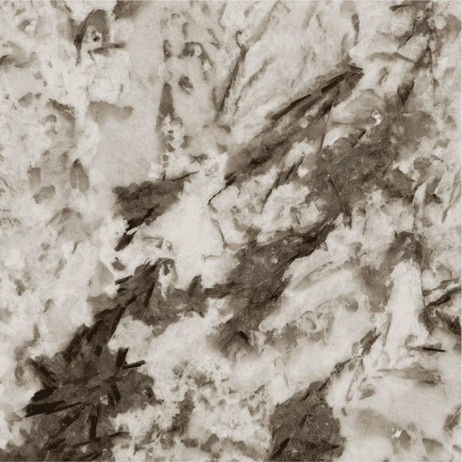 Bianco Antico - Granite