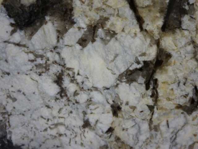 Cold Spring - Granite Slab Image